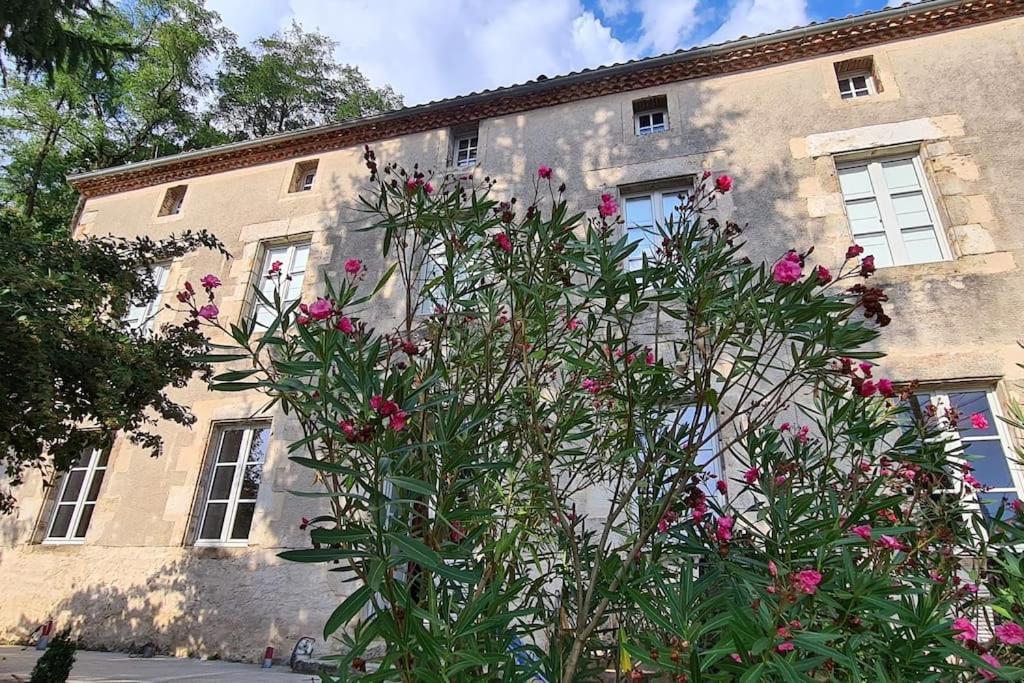 Les Hauts De St Jacques Maison D'exception 300m2, Jardin Arboré 2000m2 Hébergement de vacances *