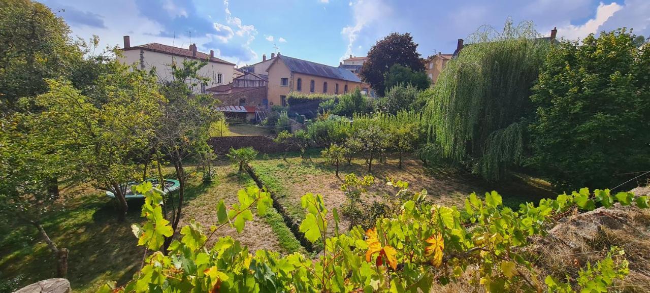 Les Hauts De St Jacques Maison D'exception 300m2, Jardin Arboré 2000m2 *